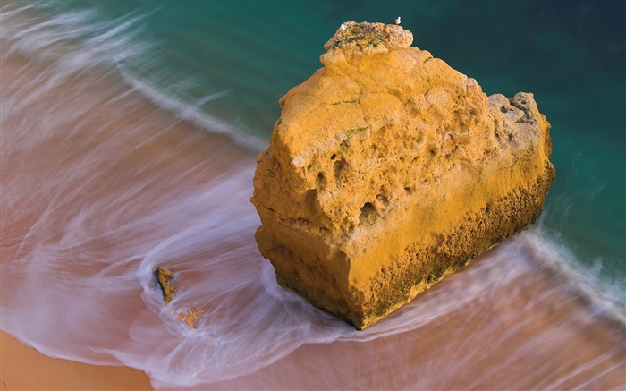 Пляж, море, скалы, птицы обои,s изображение
