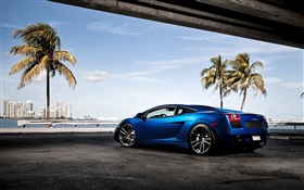 Синий Lamborghini суперкар, пальмы HD обои