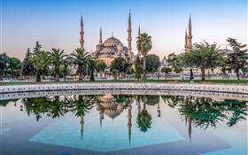 Стамбул, Турция, мечеть, деревья, вода HD обои