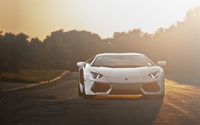 Lamborghini белый суперкар вид спереди, Солнечный свет обои,s изображение