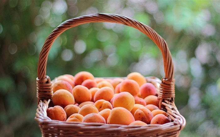 Одна корзина абрикосов обои,s изображение