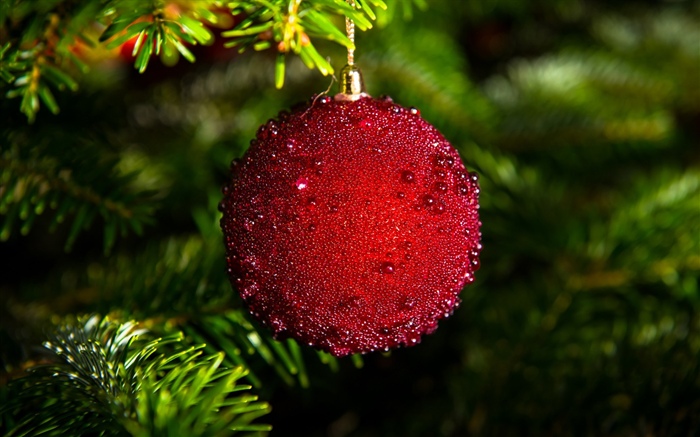 Красный Рождественский бал обои,s изображение