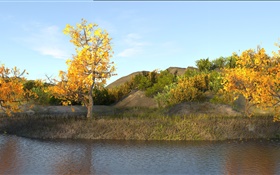 Осень, пруд, деревья, желтые листья HD обои
