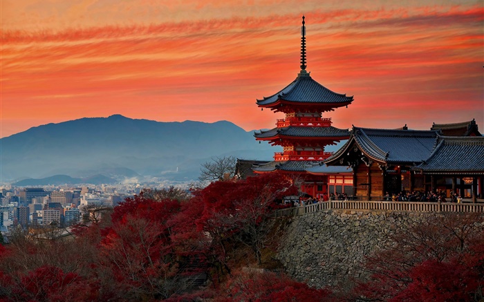 Япония, Киото, Храм, осень, сумерки обои,s изображение
