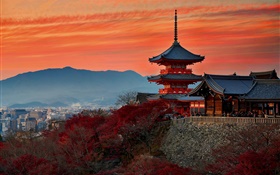 Япония, Киото, Храм, осень, сумерки