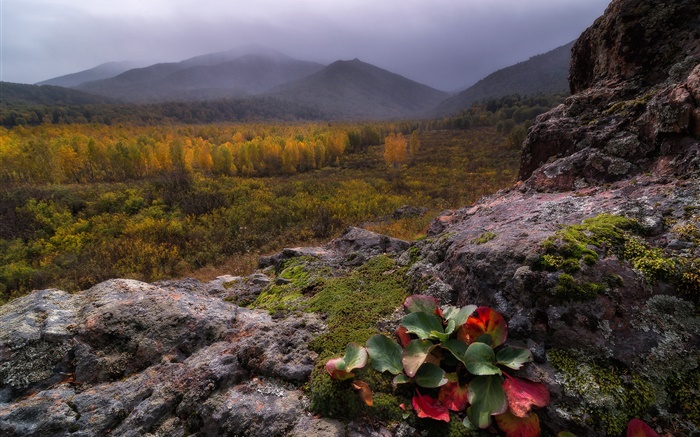 Горы, туман, камни, лес, осень обои,s изображение