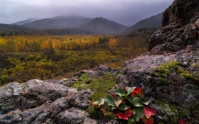 Горы, туман, камни, лес, осень HD обои