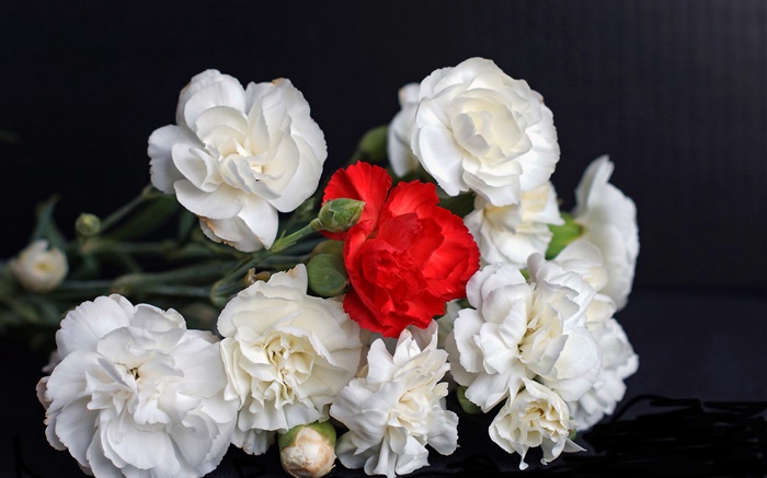 Белые и красные розы, черный фон обои,s изображение