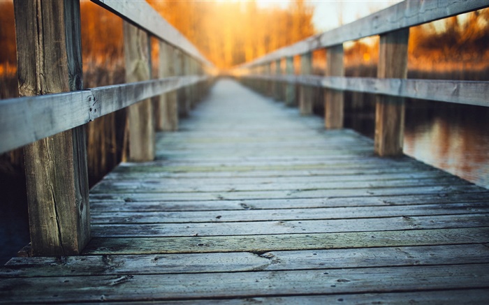 Деревянный мост, забор, туман обои,s изображение