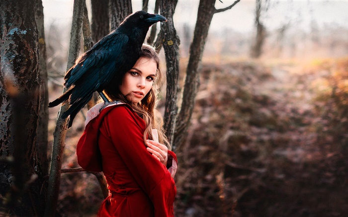 Девушка в красном платье, ворон обои,s изображение